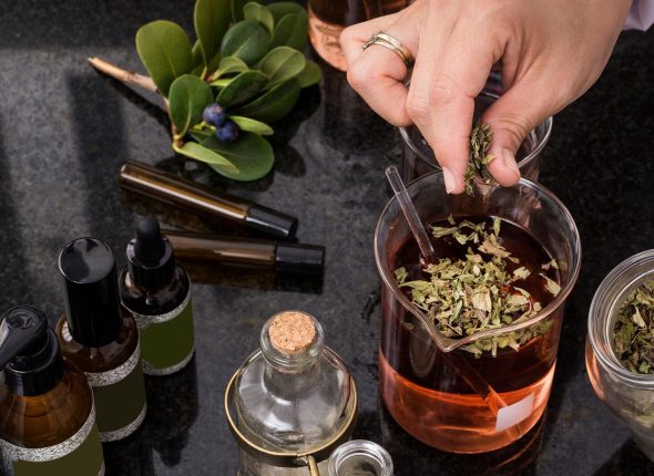 como-a-fitoterapia-utiliza-as-plantas